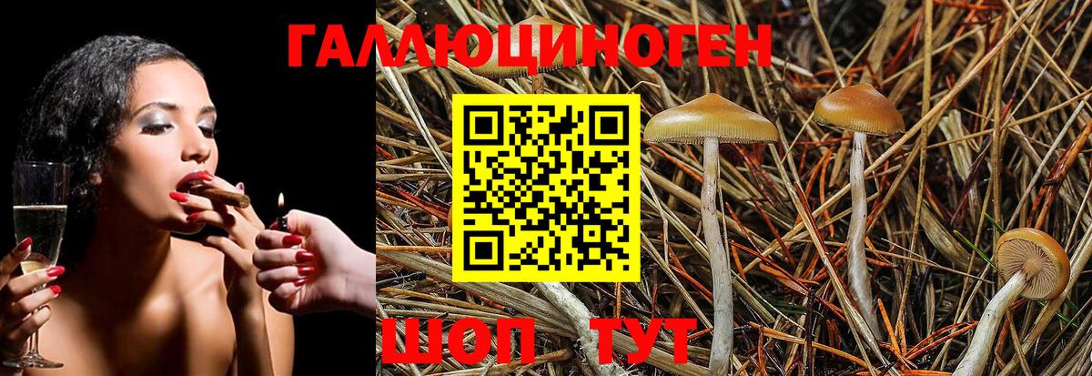 Галлюциногенные грибы MAGIC MUSHROOMS  Вход с VPN  Усть-Джегута 
